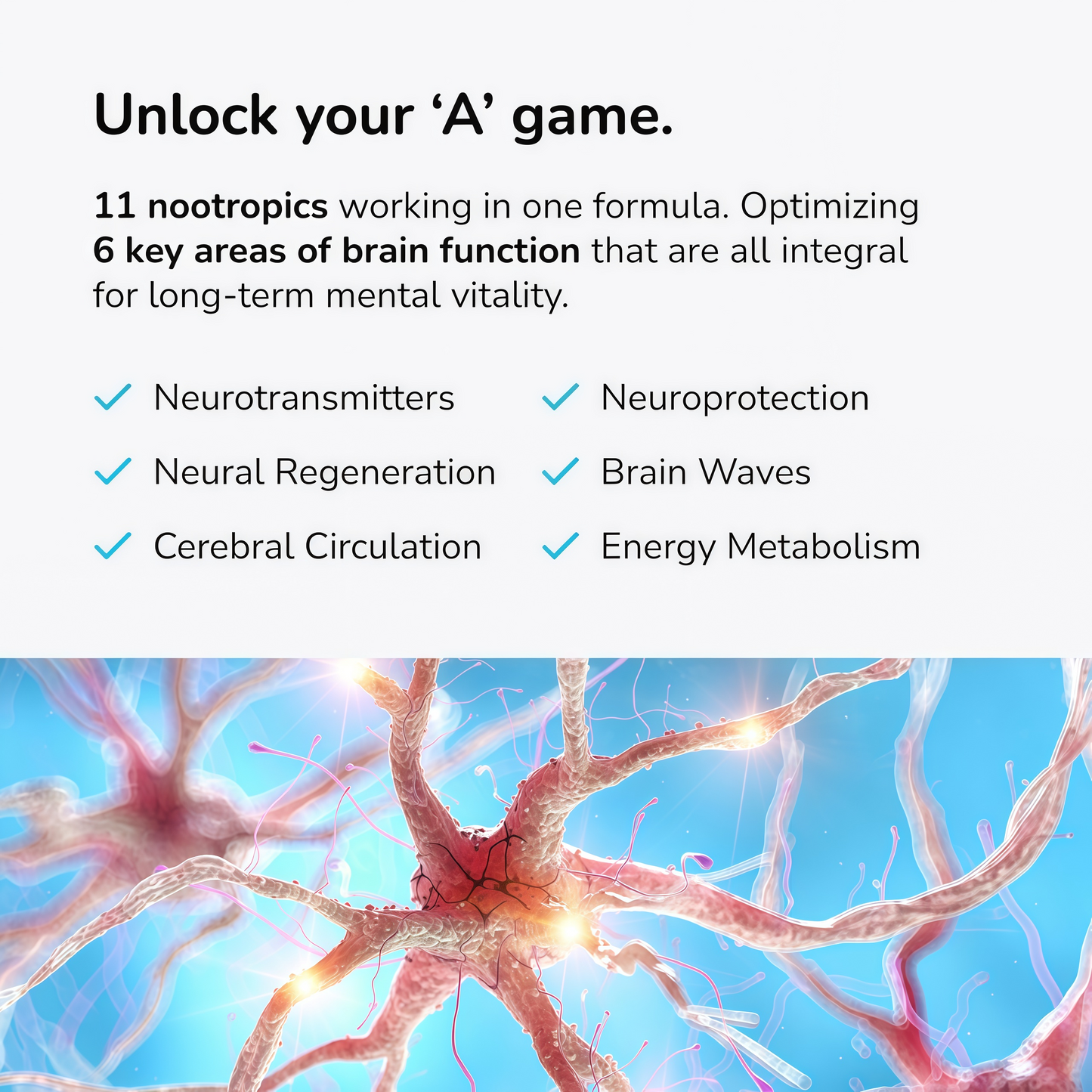 Mind Lab Pro® MLP® v4